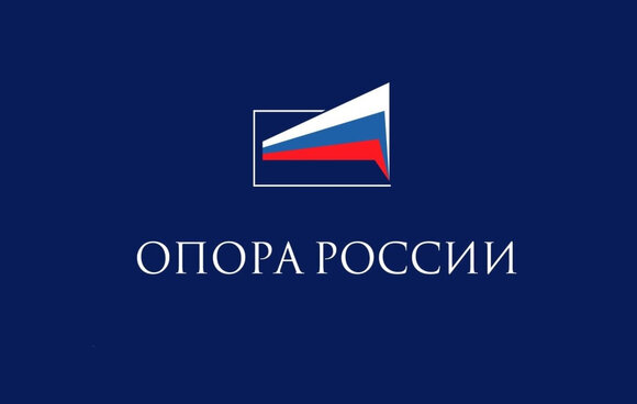Элла Гимельберг вступила в Комитет по финансовым рынкам «Опоры России»